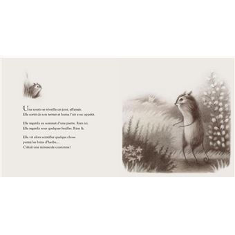 La souris qui devint roi