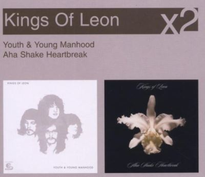 Youth and young manhood - Aha shake heartbreak