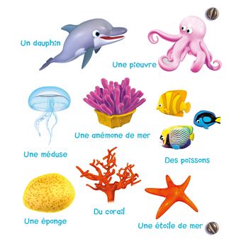 L'imagier de la mer - P'tit Garçon