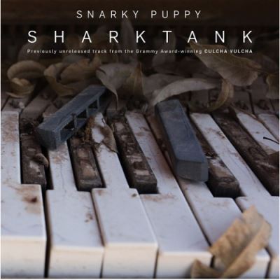 Shark tank