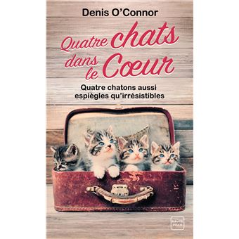 Quatre Chats Dans Le Coeur Poche Denis O Connor Achat Livre Ou Ebook Fnac