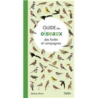 Gros plan sur les oiseaux des parcs et jardins - Detlef Singer