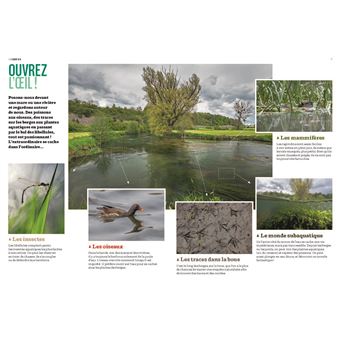 La Nature au bord de l'eau