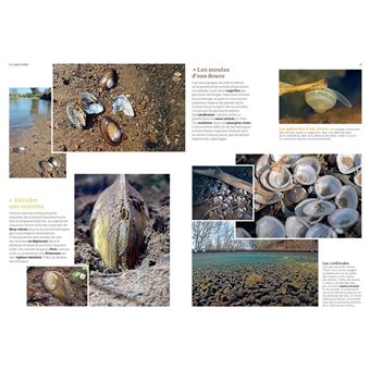 La Nature au bord de l'eau