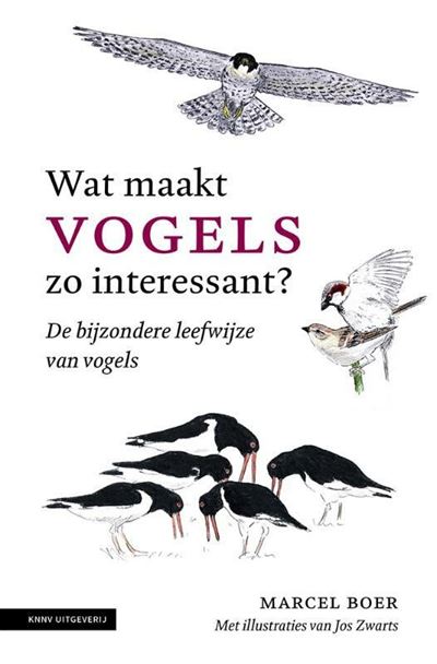 Wat maakt vogels zo interessant?