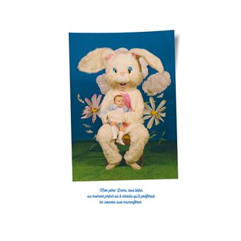 Les faits et gestes de la famille papillon