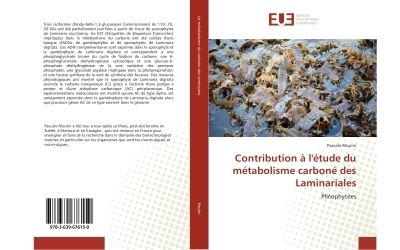 Contribution a l'etude du metabolisme carbone des laminarial