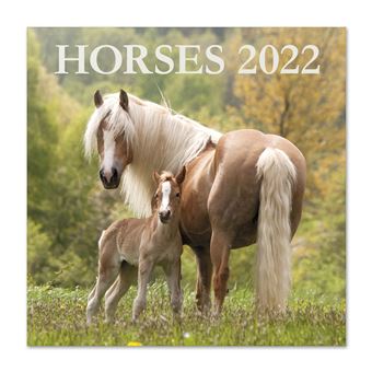 Calendrier mural 2022 Chevaux