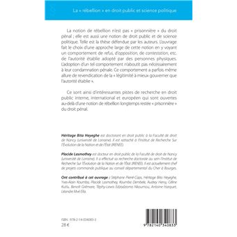 La "rébellion" en droit public et science politique