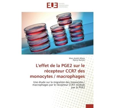 L'effet de la PGE2 sur le récepteur CCR7 des monocytes-macrophages