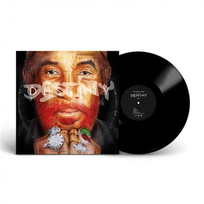 Diggers Factory - Lee Scratch Perry Destiny