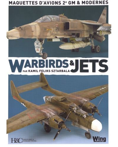 Warbirds Et Jet