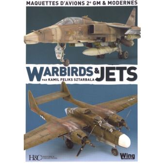 Warbirds Et Jet