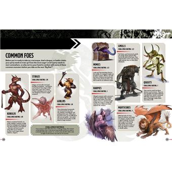 Dungeons & Dragons, le collector