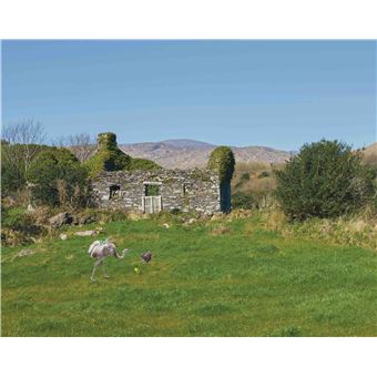 O’Loty et son trésor vert d'or, O'Loty y su tesoro verde y oro