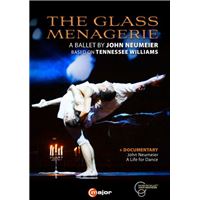 The Glass Menagerie DVD