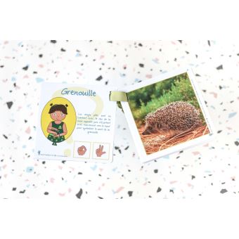 Mon p'tit vocabulaire