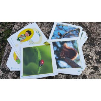 Mon p'tit vocabulaire