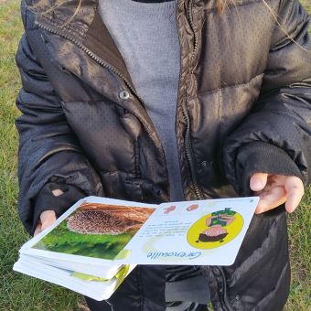 Mon p'tit vocabulaire