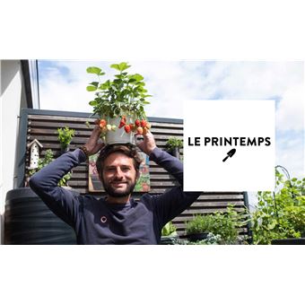 Tomates et basilic au 5ème étage