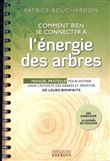 Comment bien se connecter à l'énergie des arbres