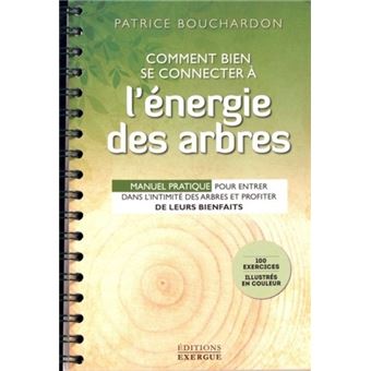 Comment bien se connecter à l'énergie des arbres