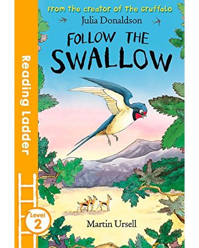 Follow the swallow
