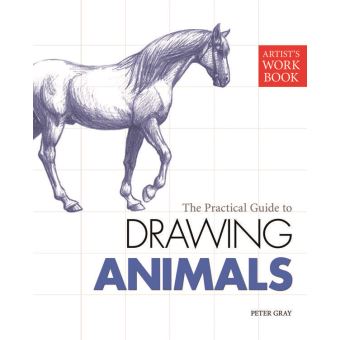 Apprendre à dessiner Ev - broché - Peter Gray - Achat Livre
