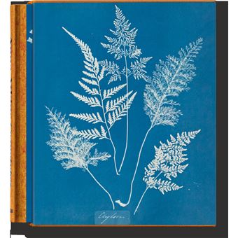 Anna Atkins. Cyanotypes