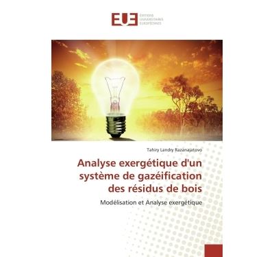 Analyse exergetique d'un systeme de gazeification des residu