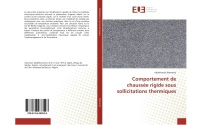 Comportement de chaussee rigide sous sollicitations thermiques