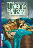 Les dragons de Nalsara, Tome 04