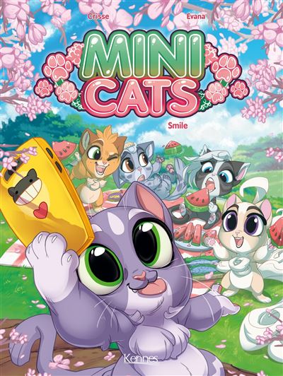 Mini Cats BD