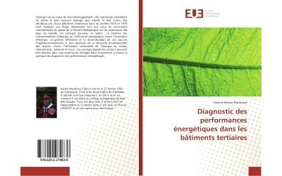 Diagnostic des performances energetiques dans les batiments