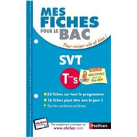 Fiches Abc Du Bac Collections Indispensables Au Lycee Livre Bd Soldes Fnac