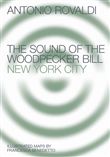 The Sound of the Woodpecker Bill
