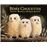 Bebes chouettes_0