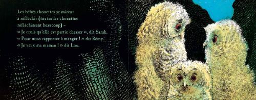 Bebes Chouettes Cartonne Patrick Benson Martin Wadell Isabel Finkenstaedt Achat Livre Fnac