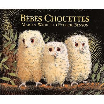Bebes chouettes