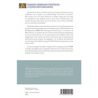 Désarmement, démobilisation et réintégration au coeur des conflits armés sahéliens