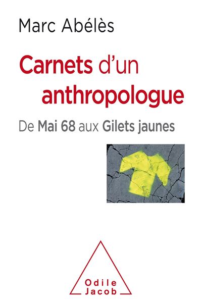 Carnets d'un anthropologue - Marc Abélès - broché