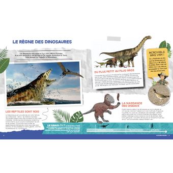 Les dinosaures
