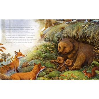 Une maison pour l'hiver