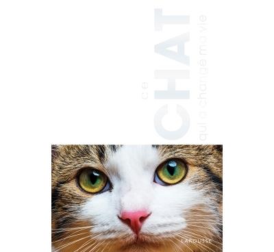 Le chat qui a changé ma vie
