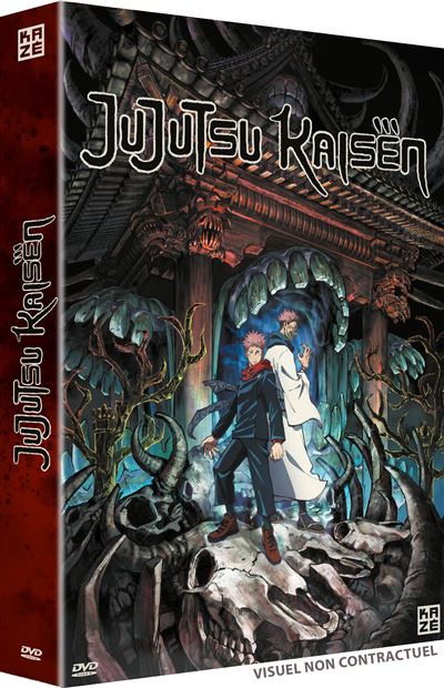 Jujutsu Kaisen Saison 1 DVD