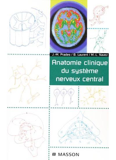 Anatomie clinique du systeme nerveux central