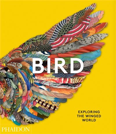 BIRD EXPLORING THE WINGED WORLD