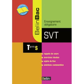 SVT Term S - 1