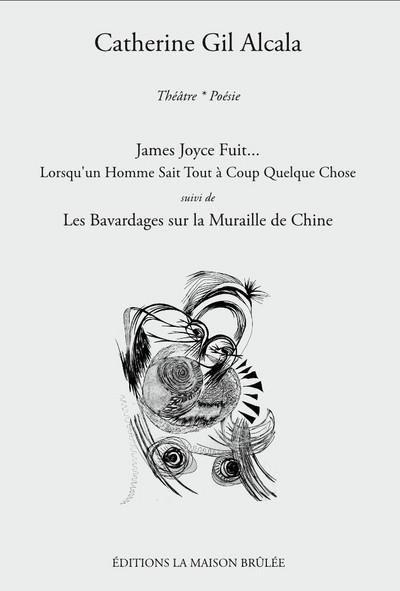 James Joyce fuit... Lorsqu'un homme sait tout à coup quelque chose