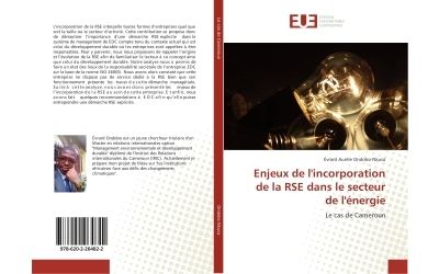 Enjeux de l'incorporation de la rse dans le secteur de l'ene